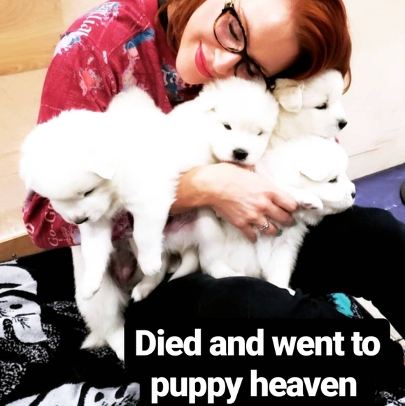 Meet your Posher, Cat! - Picture 14 of 16